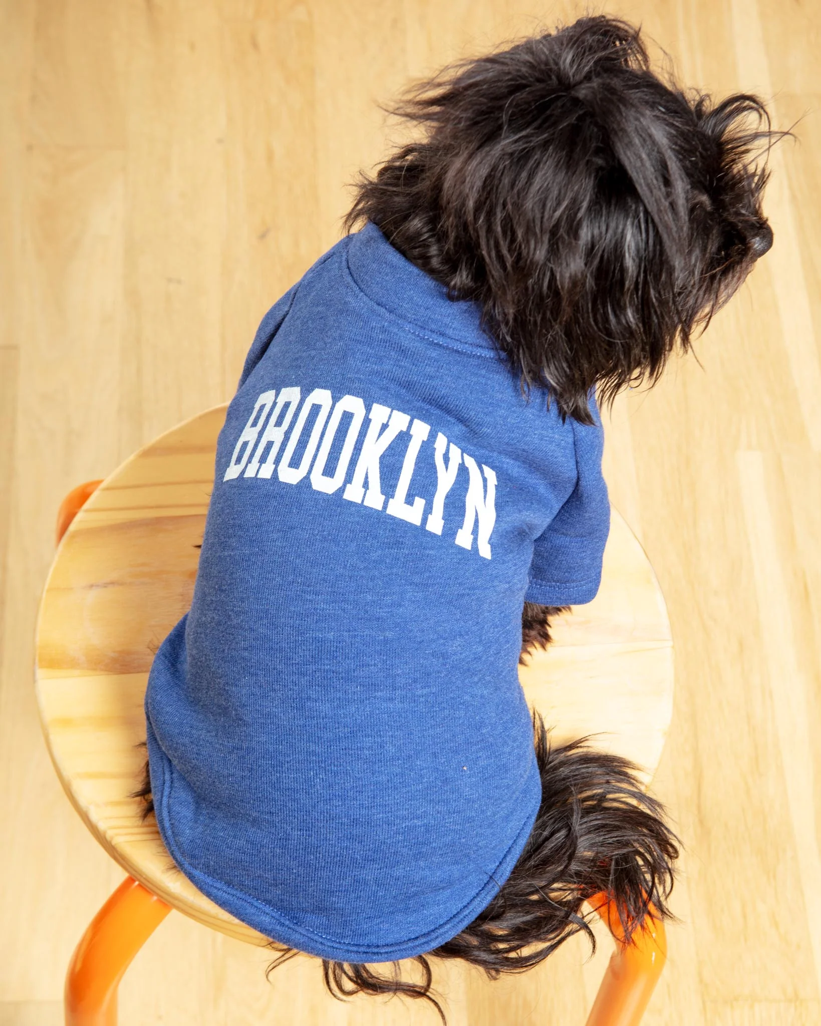 Brooklyn Dog Sweatshirt in Royal Blue Heather - Image 2
