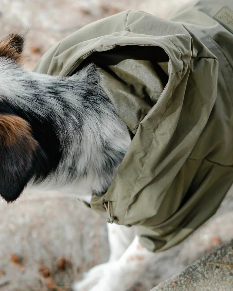 Brooklyn Nylon Water Resistant Dog Jacket (FINAL SALE) - Image 10