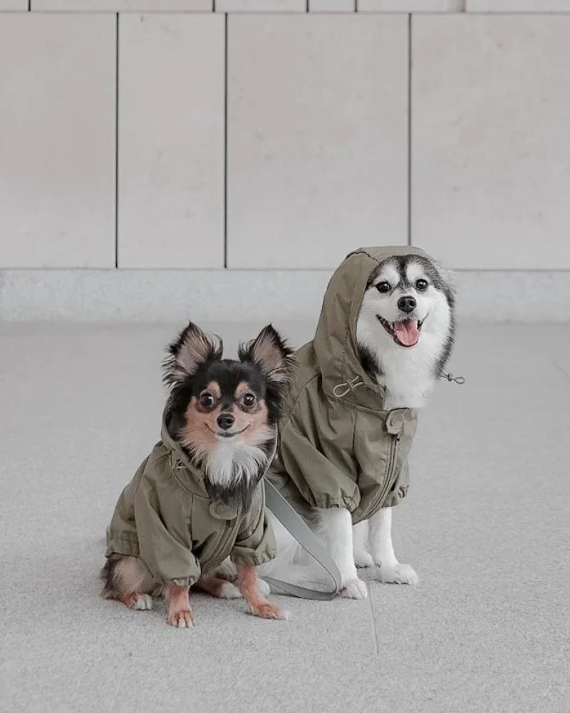 Brooklyn Nylon Water Resistant Dog Jacket (FINAL SALE) - Image 2