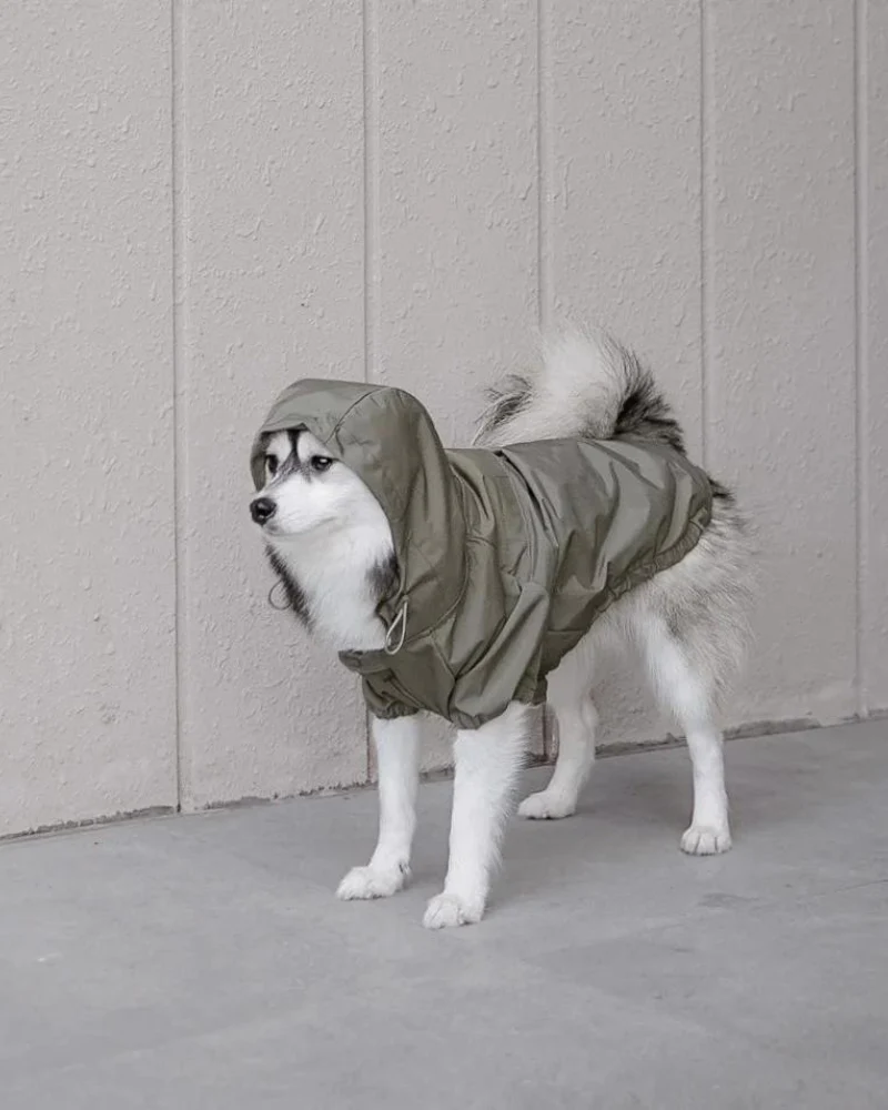 Brooklyn Nylon Water Resistant Dog Jacket (FINAL SALE) - Image 3