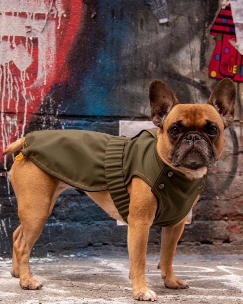 Brownie Waterproof Raincoat in Olive - Image 4