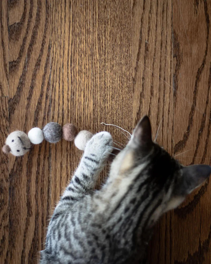Brownie the Caterpillar Natural Wool Cat Toy - Image 3