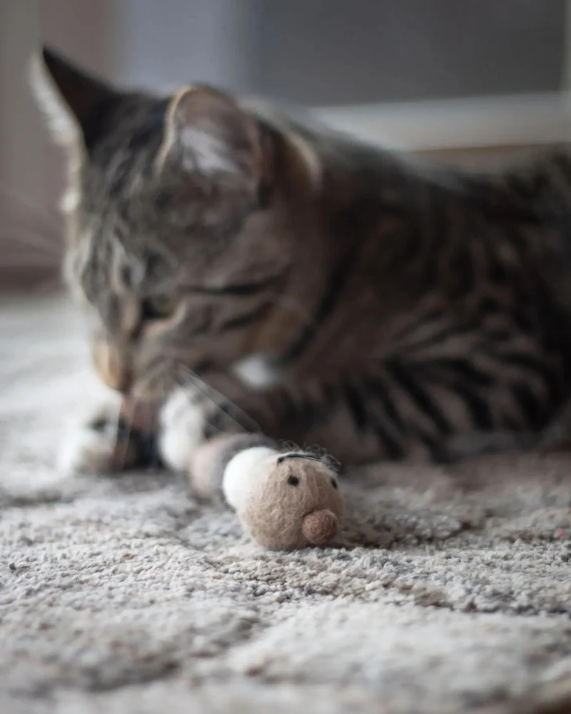 Brownie the Caterpillar Natural Wool Cat Toy - Image 5
