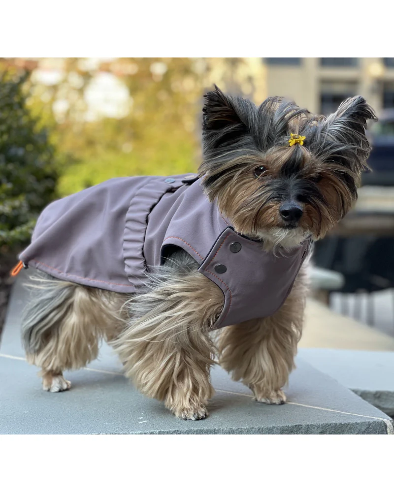 Brownie Waterproof Raincoat in Fig (FINAL SALE) - Image 4
