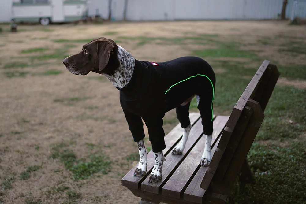 Bruce Warmer Dog Onesie in Black << CLEARANCE >> - Image 5