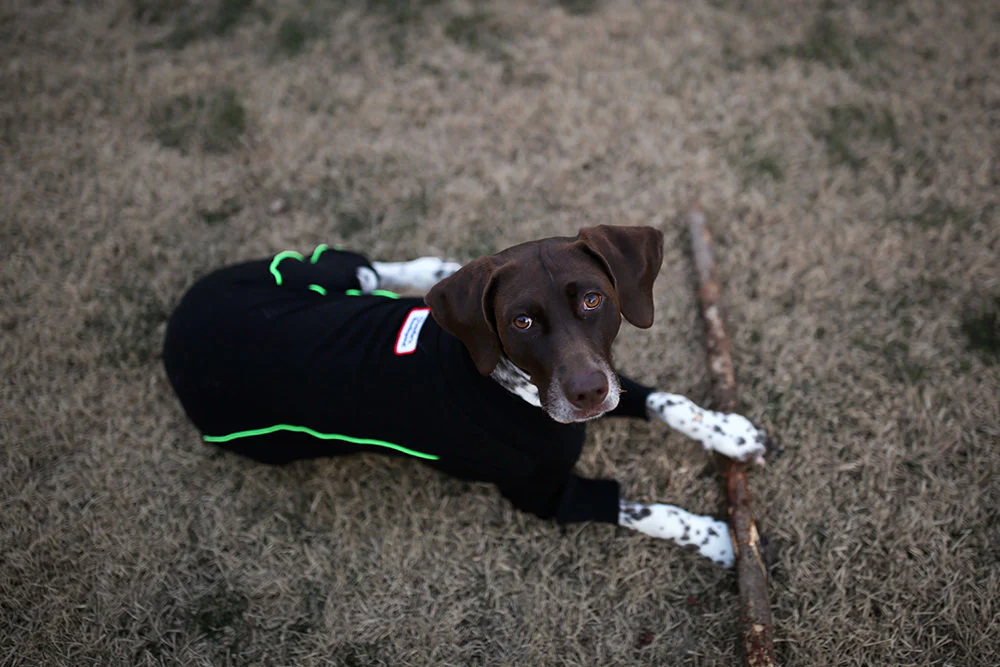 Bruce Warmer Dog Onesie in Black << CLEARANCE >> - Image 6