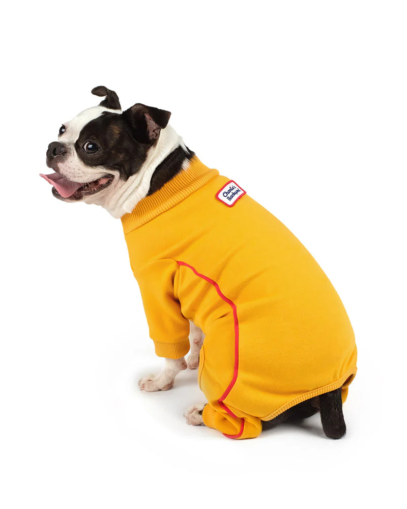 Bruce Warmer Dog Onesie in Yellow << FINAL SALE >> - Image 3