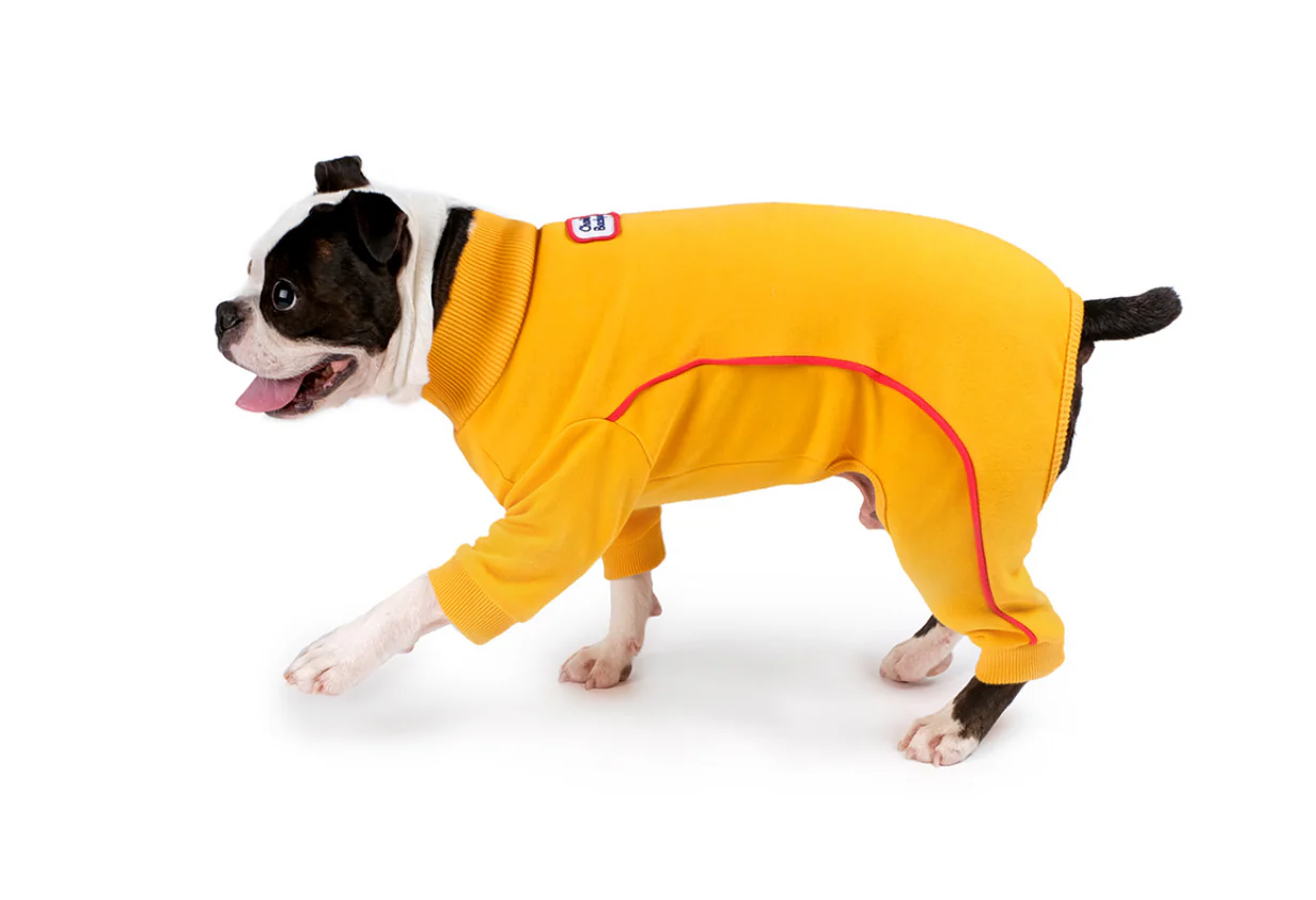 Bruce Warmer Dog Onesie in Yellow << FINAL SALE >> - Image 6