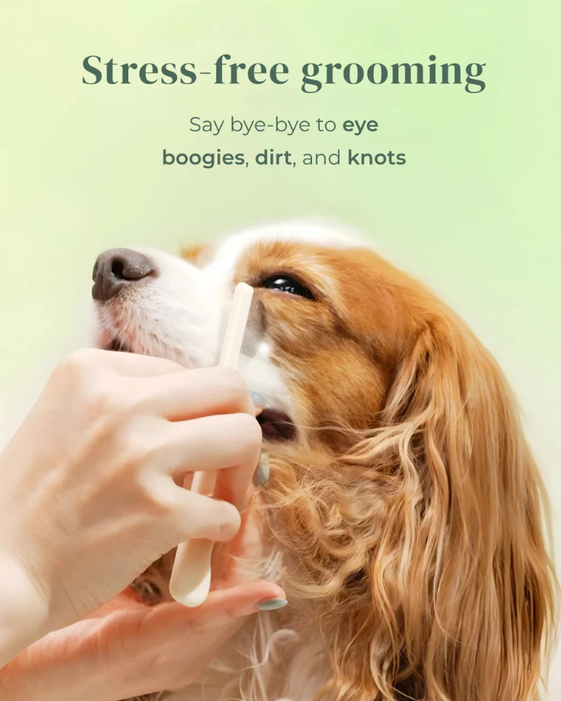 Brush on Me Pet Facial & Eye Comb - Image 2