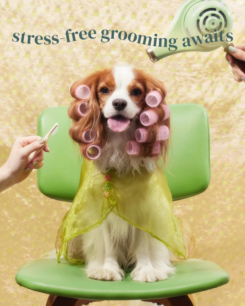 Brush on Me Pet Facial & Eye Comb - Image 7