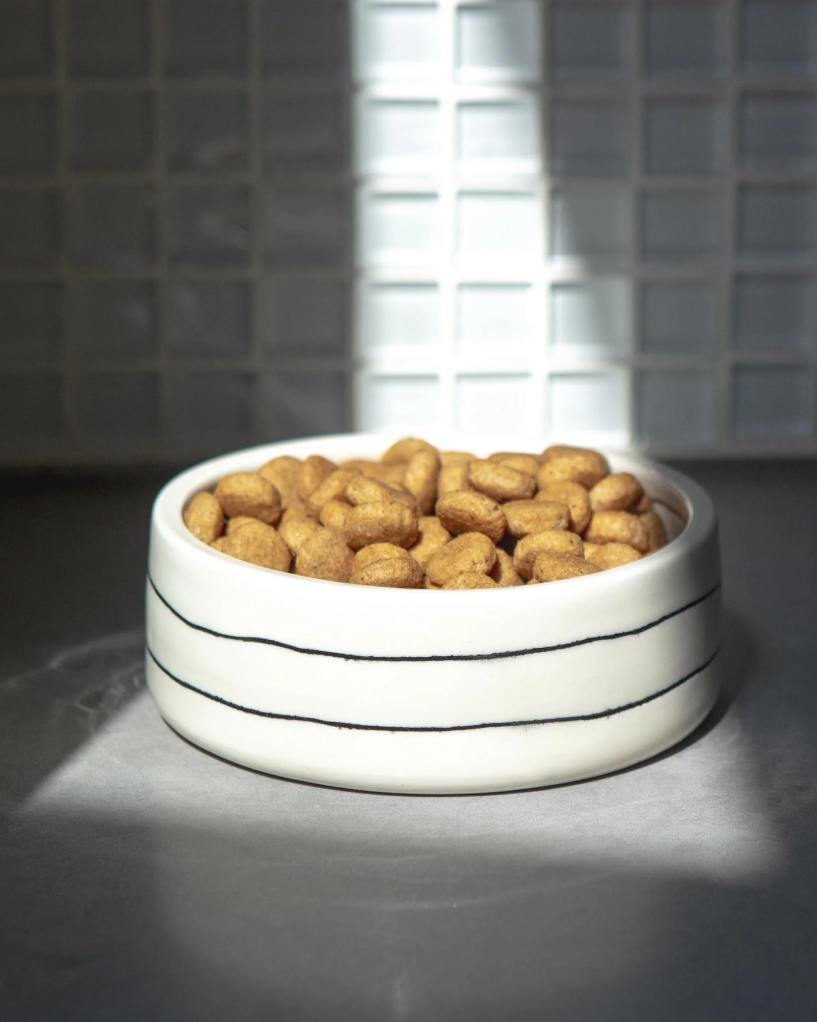 Black + White Stripe Bowl (Dog & Co. Exclusive) - Image 2