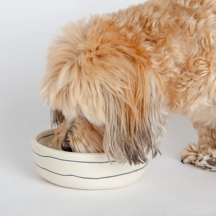 Black + White Stripe Bowl (Dog & Co. Exclusive) - Image 4