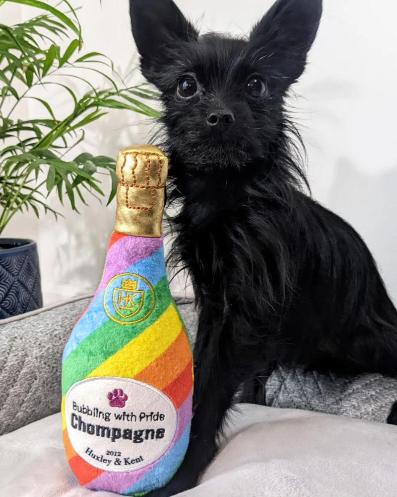 Bubbling With Pride Chompagne Squeaky Plush Dog Toy (FINAL SALE) - Image 2