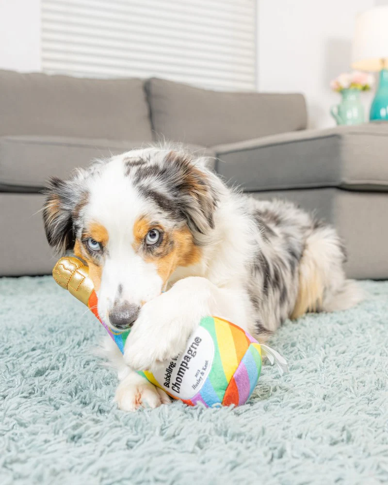 Bubbling With Pride Chompagne Squeaky Plush Dog Toy (FINAL SALE) - Image 5