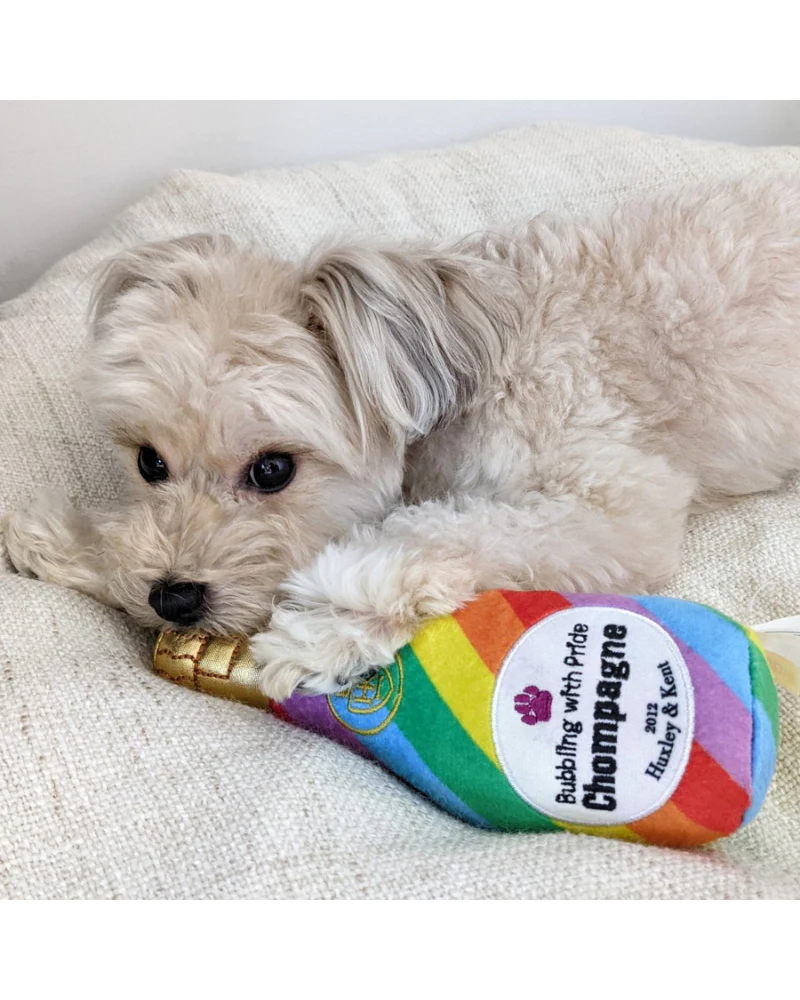 Bubbling With Pride Chompagne Squeaky Plush Dog Toy (FINAL SALE) - Image 6