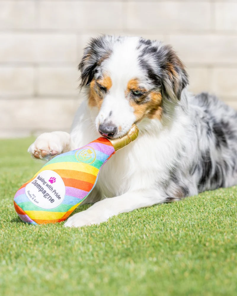Bubbling With Pride Chompagne Squeaky Plush Dog Toy (FINAL SALE) - Image 7