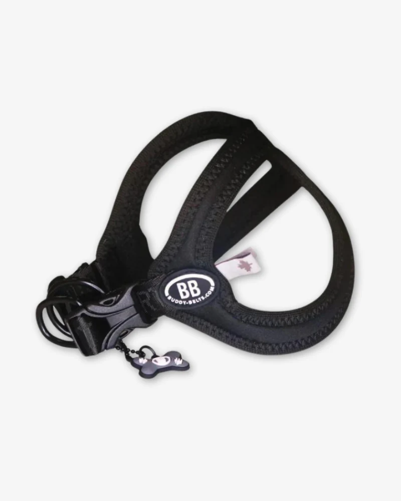 Buddy Belt Sport Harness for Dogs in Black - Image 3