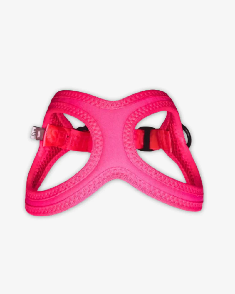 Buddy Belt Sport Harness for Dogs in Neon Pink - Image 3