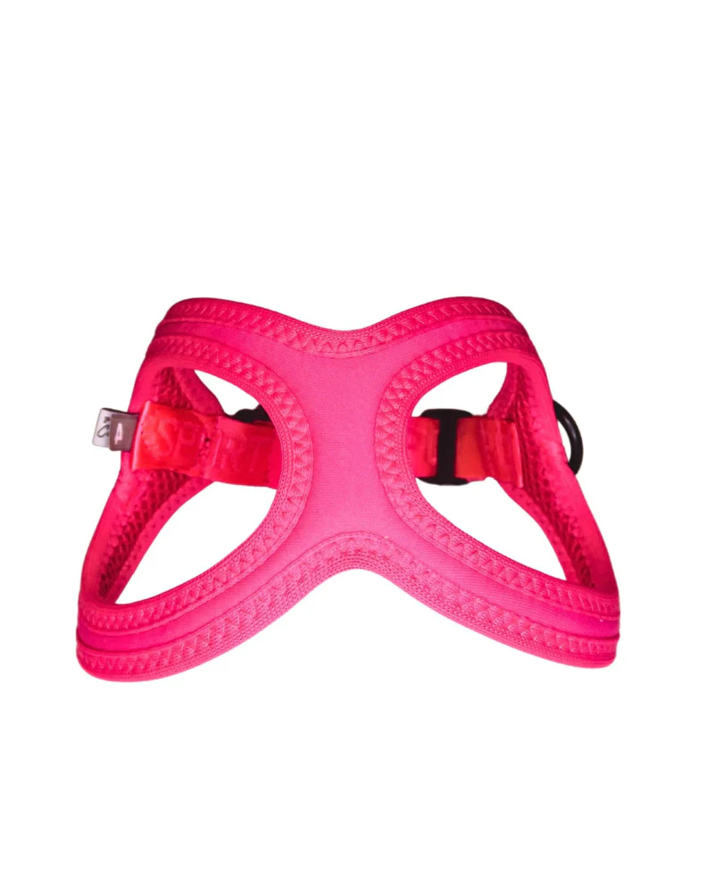 Buddy Belt Sport Harness for Dogs in Neon Pink - Image 5