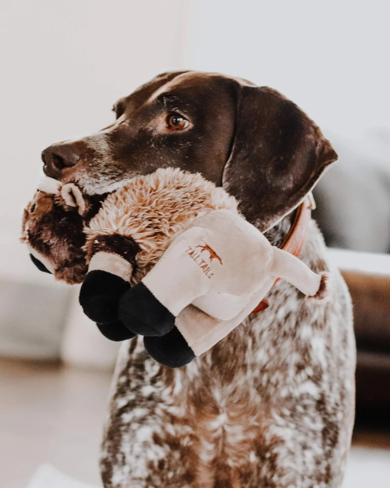 Buffalo Squeaky Plush Dog Toy - Image 6