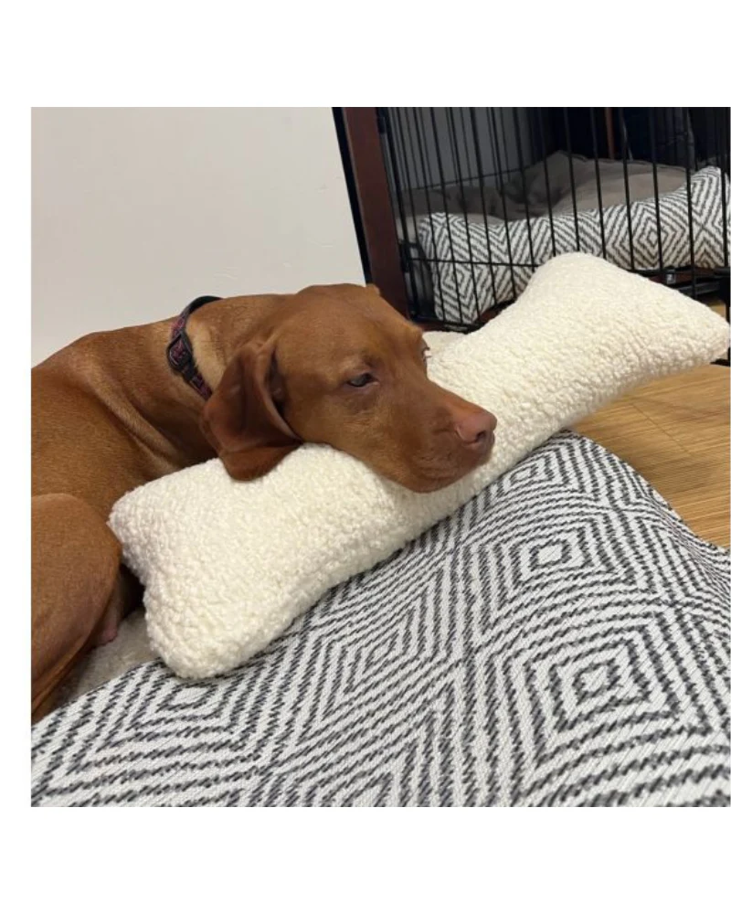 Bumper Bone Pillow - Image 3