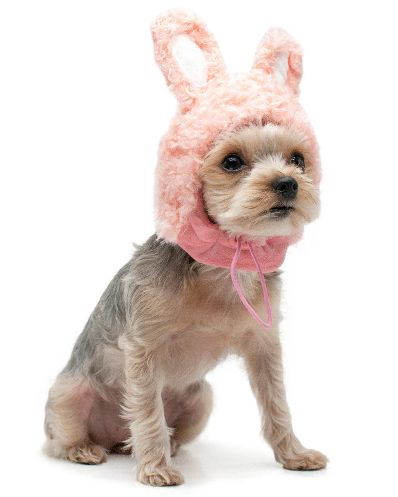Bunny Ears Hat for Dogs & Cats - Image 2