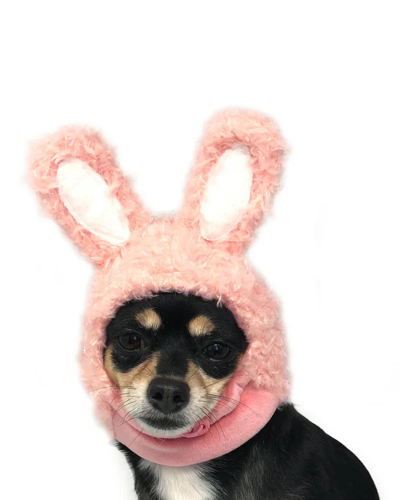 Bunny Ears Hat for Dogs & Cats - Image 3