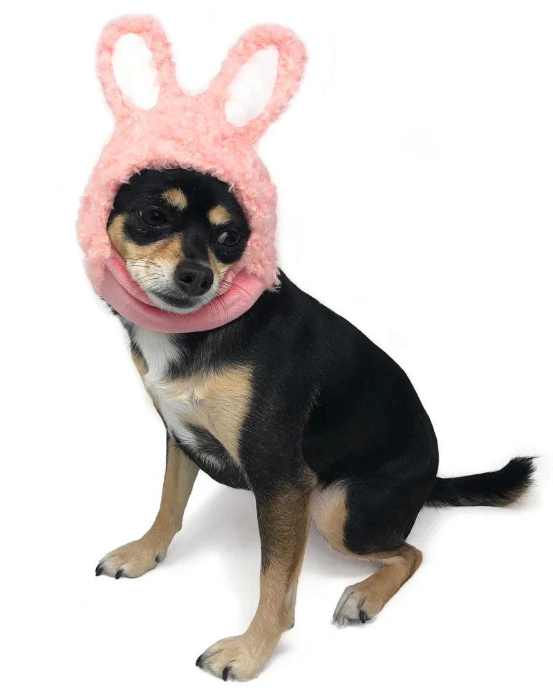 Bunny Ears Hat for Dogs & Cats - Image 5