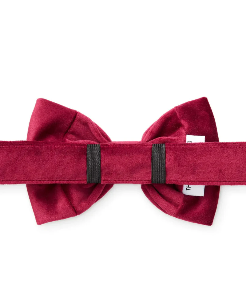 Burgundy Velvet Dog Bow Tie - Image 3