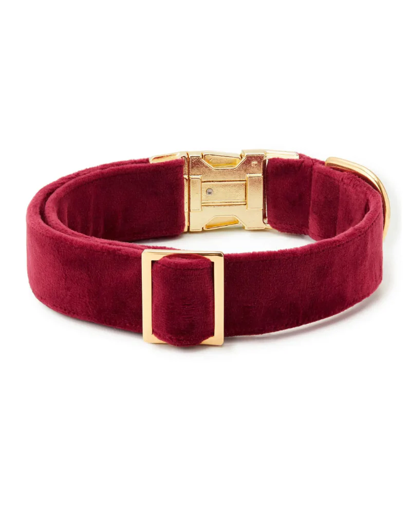 Burgundy Velvet Dog Collar - Image 2