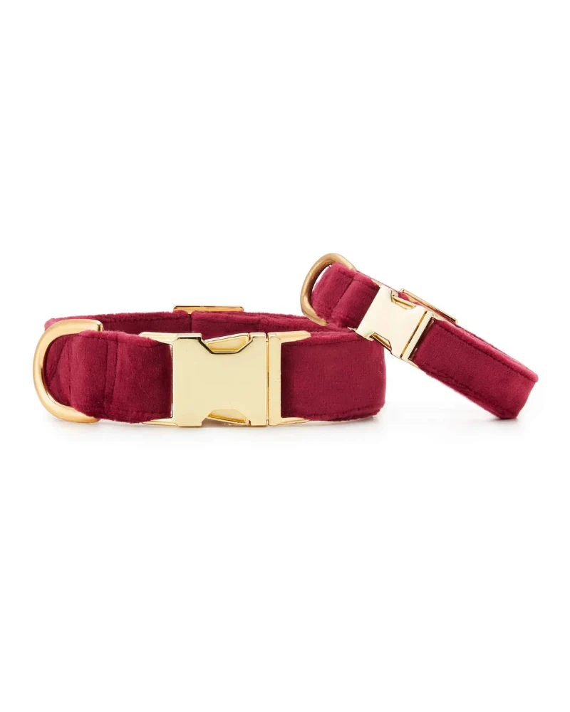Burgundy Velvet Dog Collar - Image 3