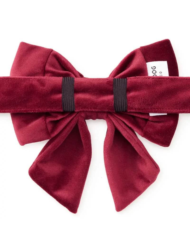 Burgundy Velvet Sailor Dog Bow Tie - Image 3