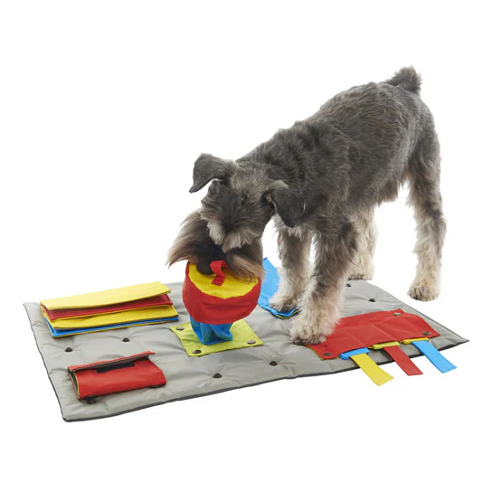 BUSTER | Activity Mat - Image 2