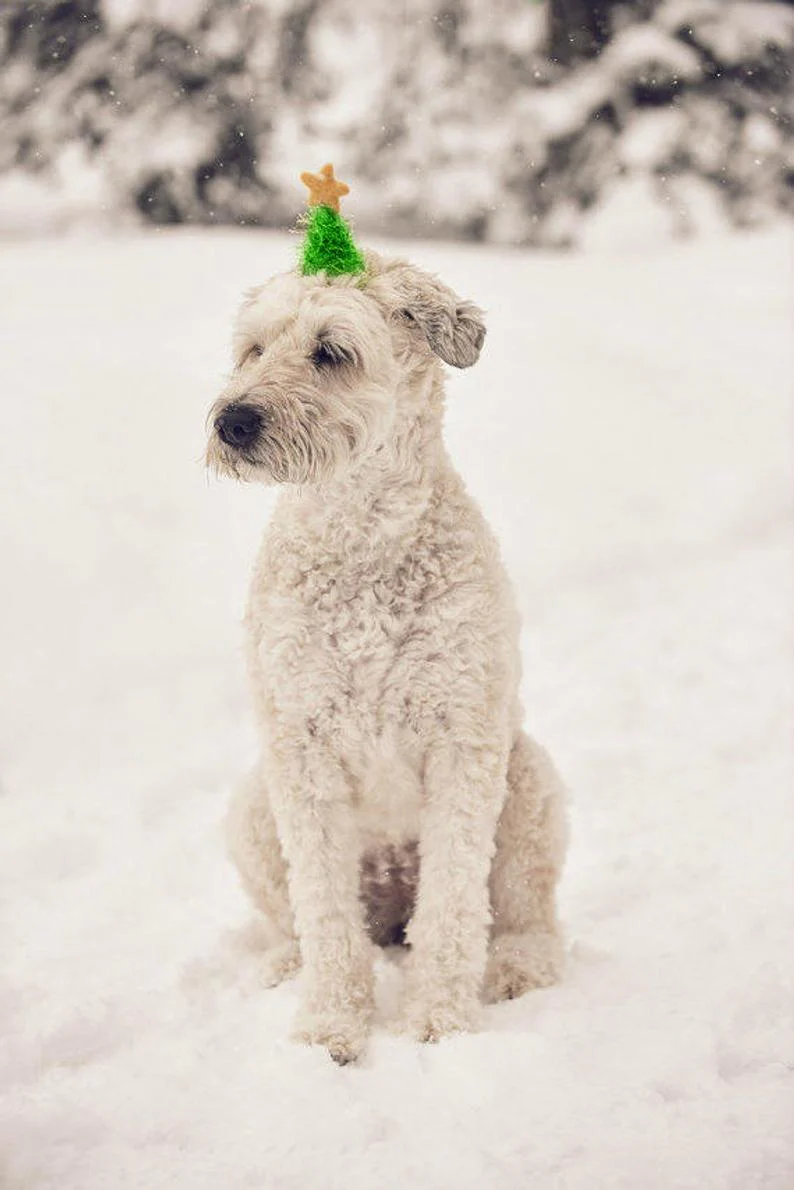 Christmas Tree Hat for Dogs & Cats - Image 3