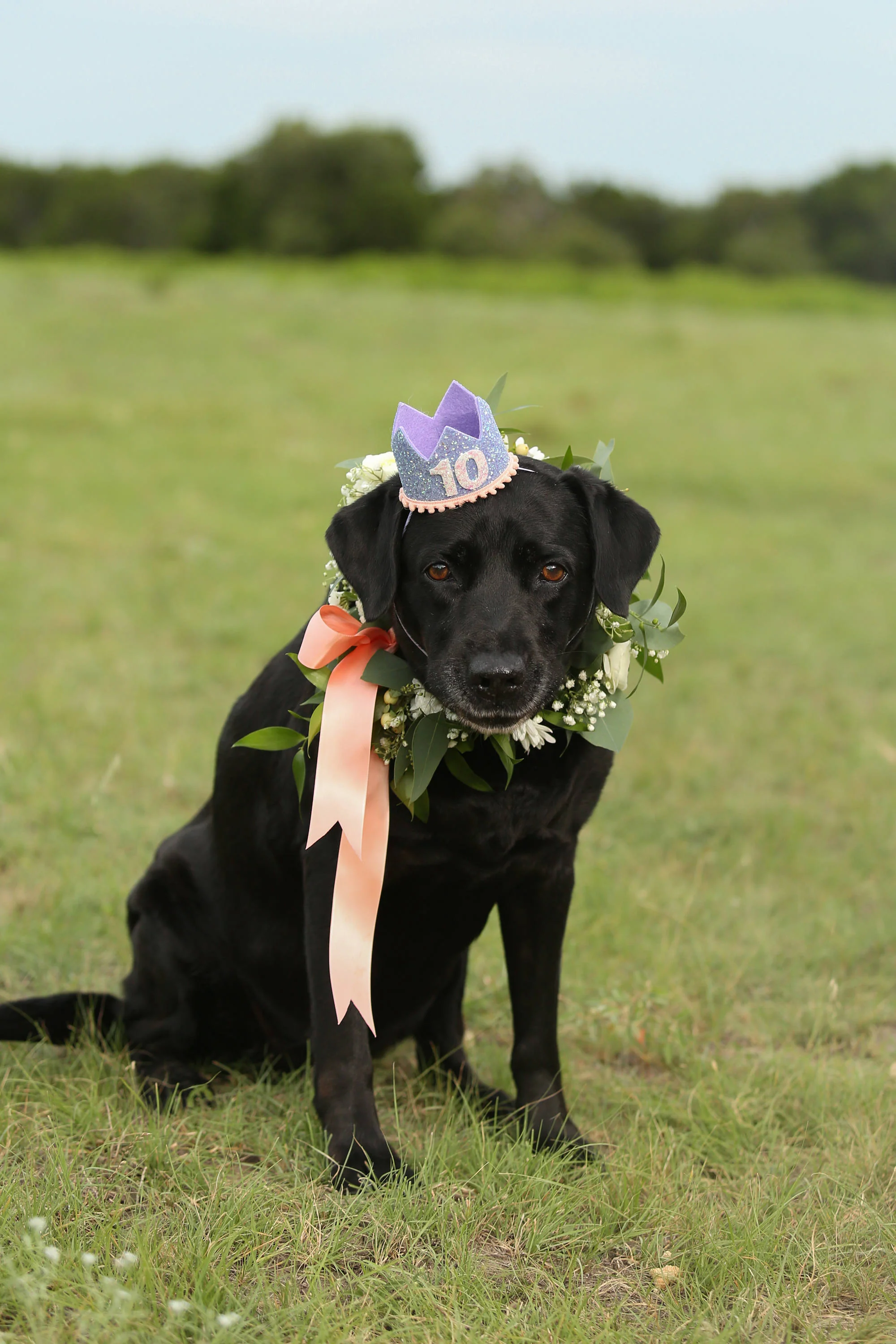 BUSTER'S PARTY SHOP | Lilac Glitter Crown with Peach Trim - Image 2