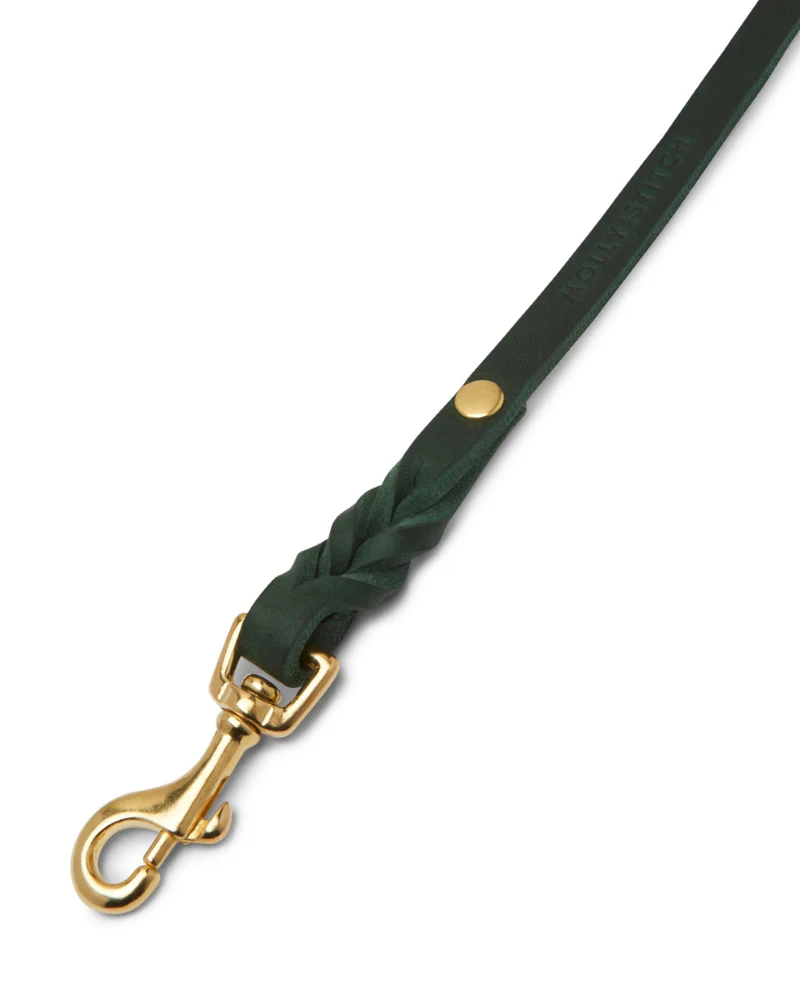 Butter Leather Dog Collar in Forest Green (Made in Austria) - Image 3