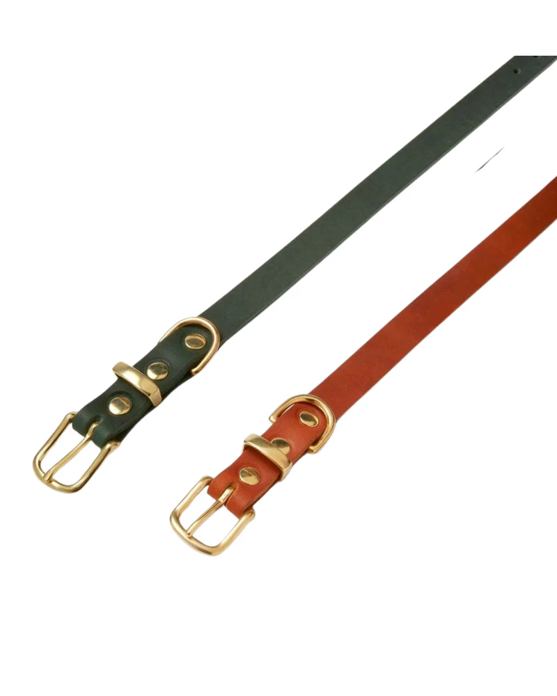 Butter Leather Dog Collar in Forest Green (Made in Austria) - Image 4