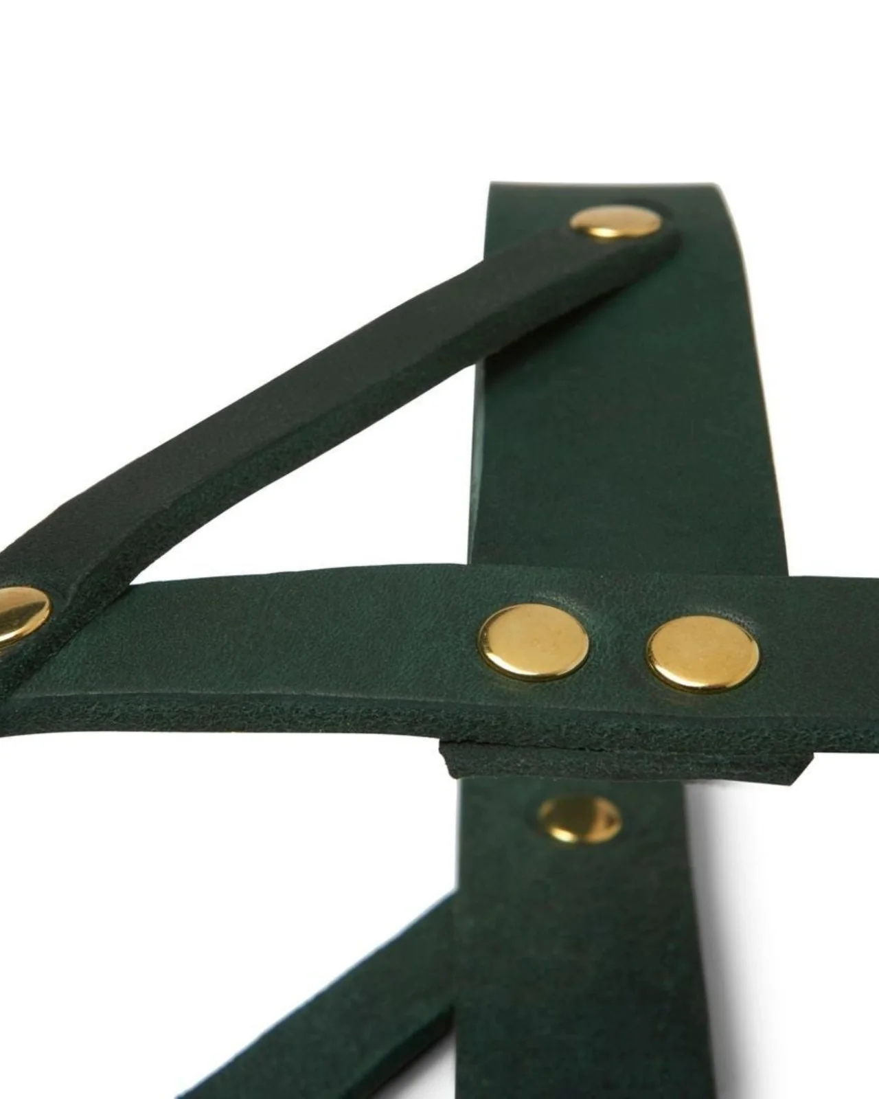 Butter Leather Dog Harness in Forest Green (Made in Austria) - Image 3