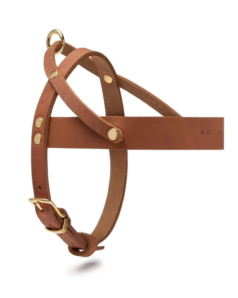 Butter Leather Dog Harness in Sahara Cognac (Made in Austria) - Image 7