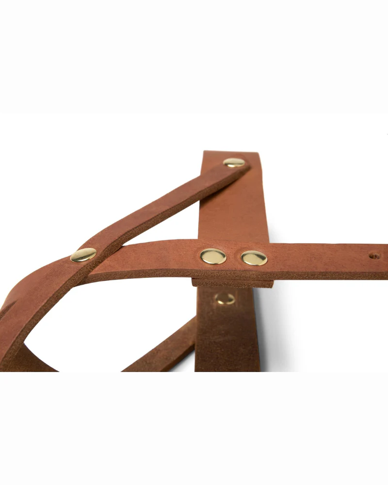 Butter Leather Dog Harness in Sahara Cognac (Made in Austria) - Image 9