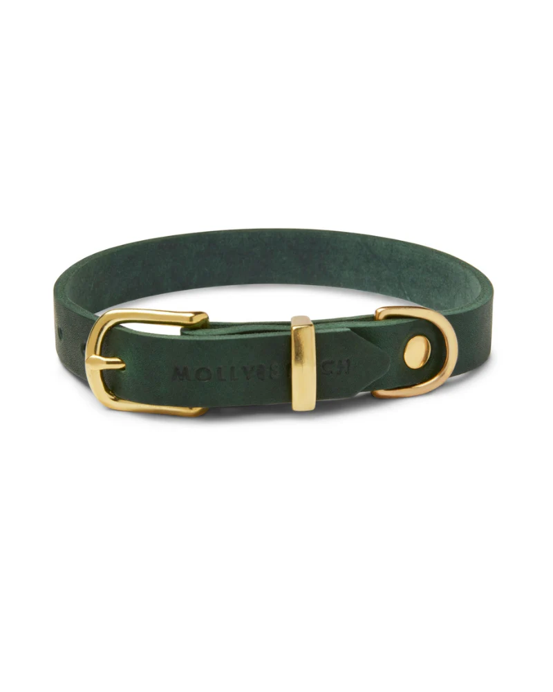 Butter Leather Dog Leash in Forest Green (Made in Austria) - Image 4