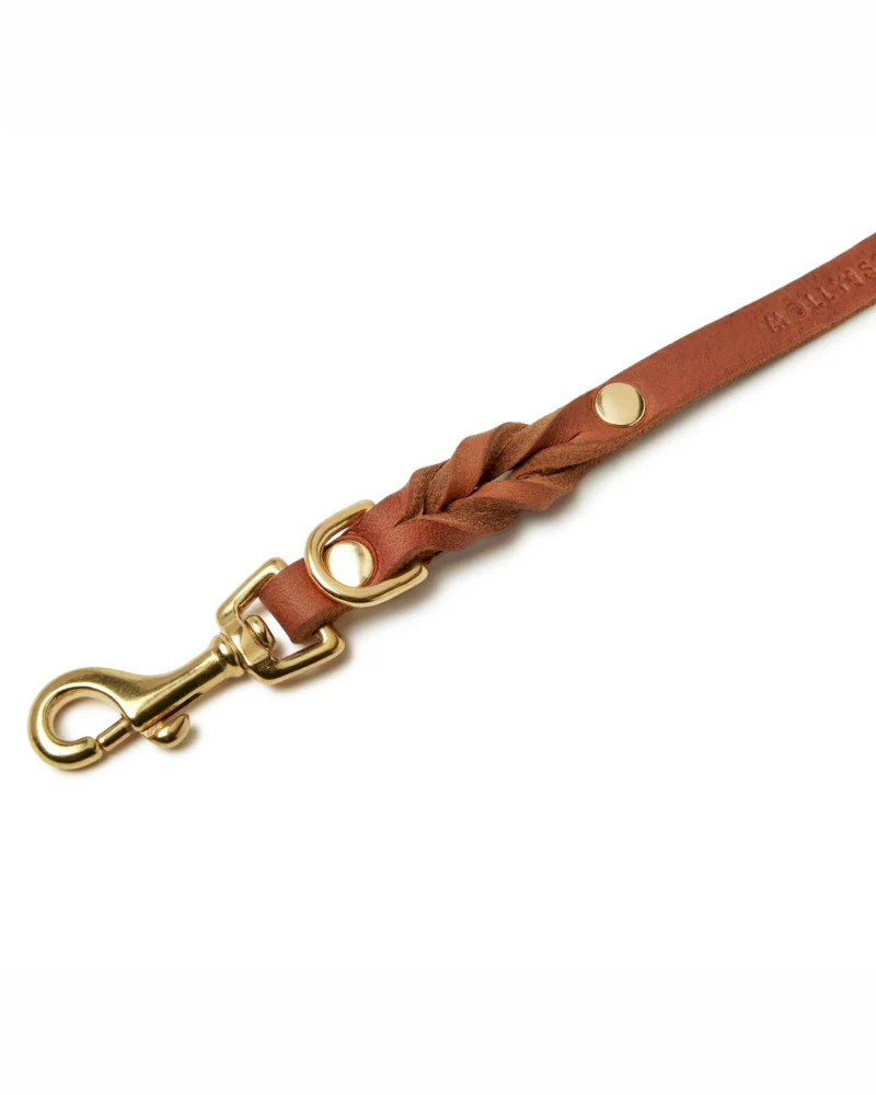 Butter Leather Dog Leash in Sahara Cognac (Made in Austria) - Image 5