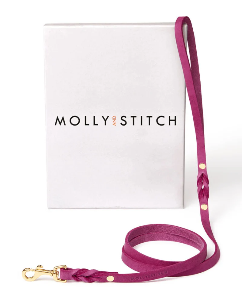 Butter Leather Dog Leash in Sahara Flamingo (Made in Austria) - Image 2