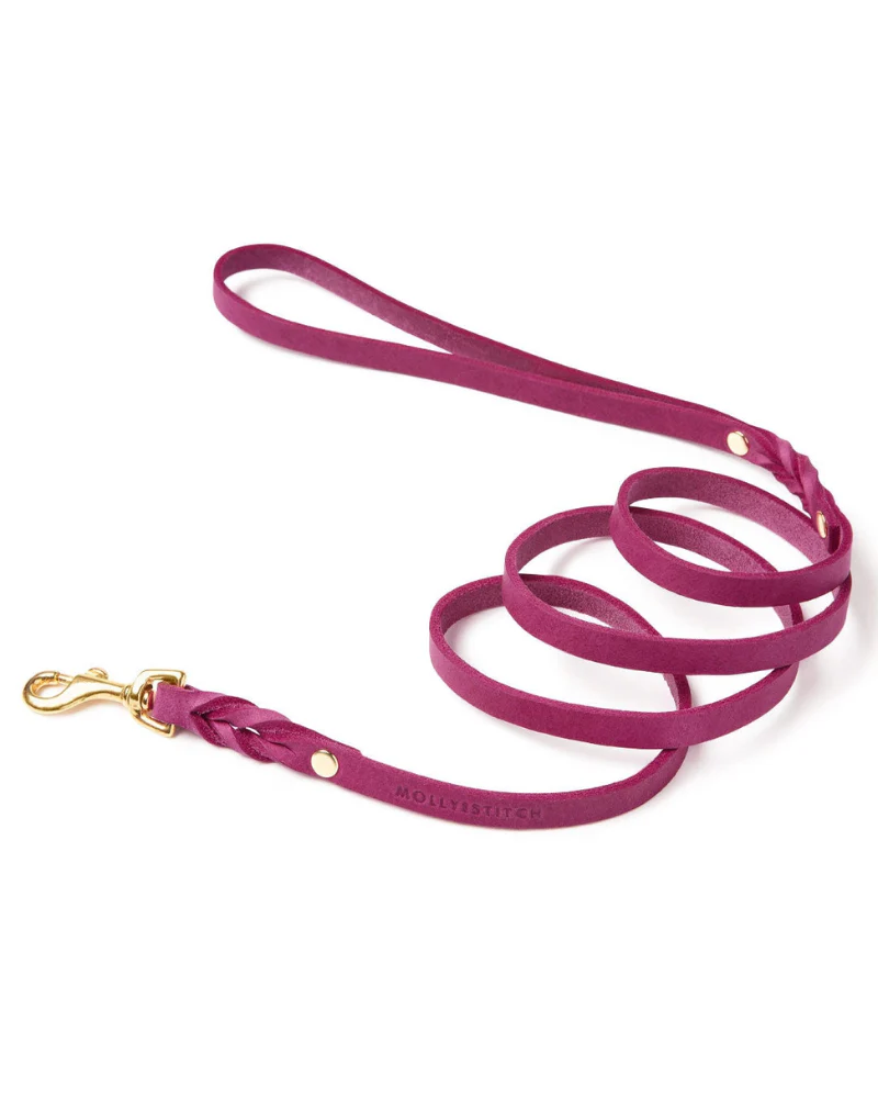 Butter Leather Dog Leash in Sahara Flamingo (Made in Austria) - Image 4