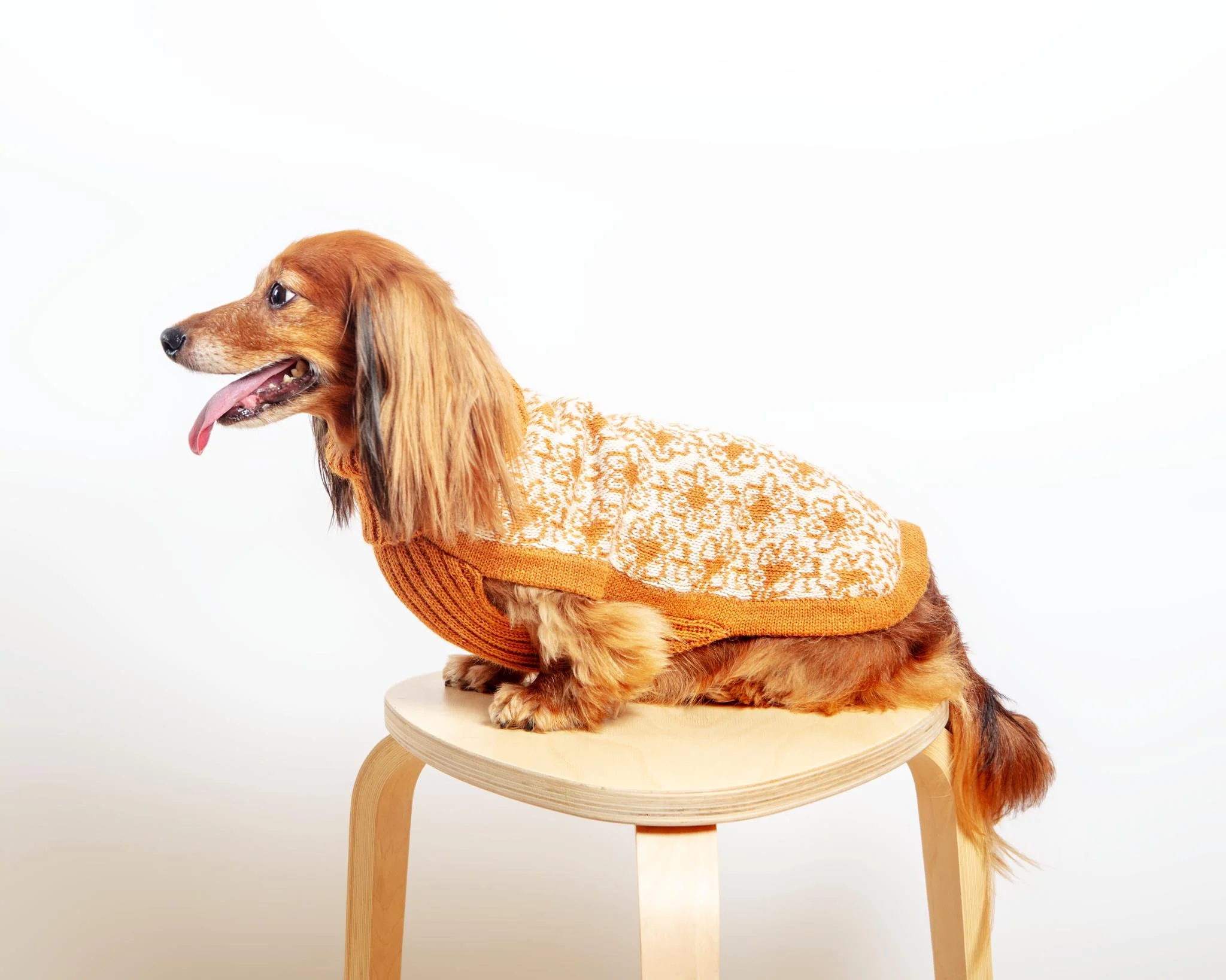 Buttercup Alpaca Dog Sweater (FINAL SALE) - Image 3