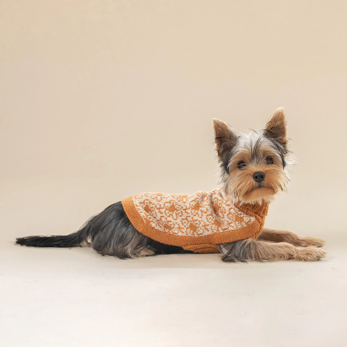 Buttercup Alpaca Dog Sweater (FINAL SALE) - Image 6