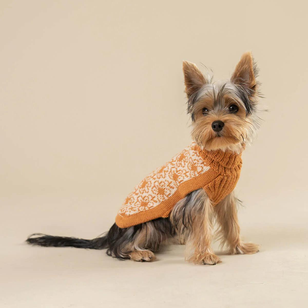 Buttercup Alpaca Dog Sweater (FINAL SALE) - Image 7