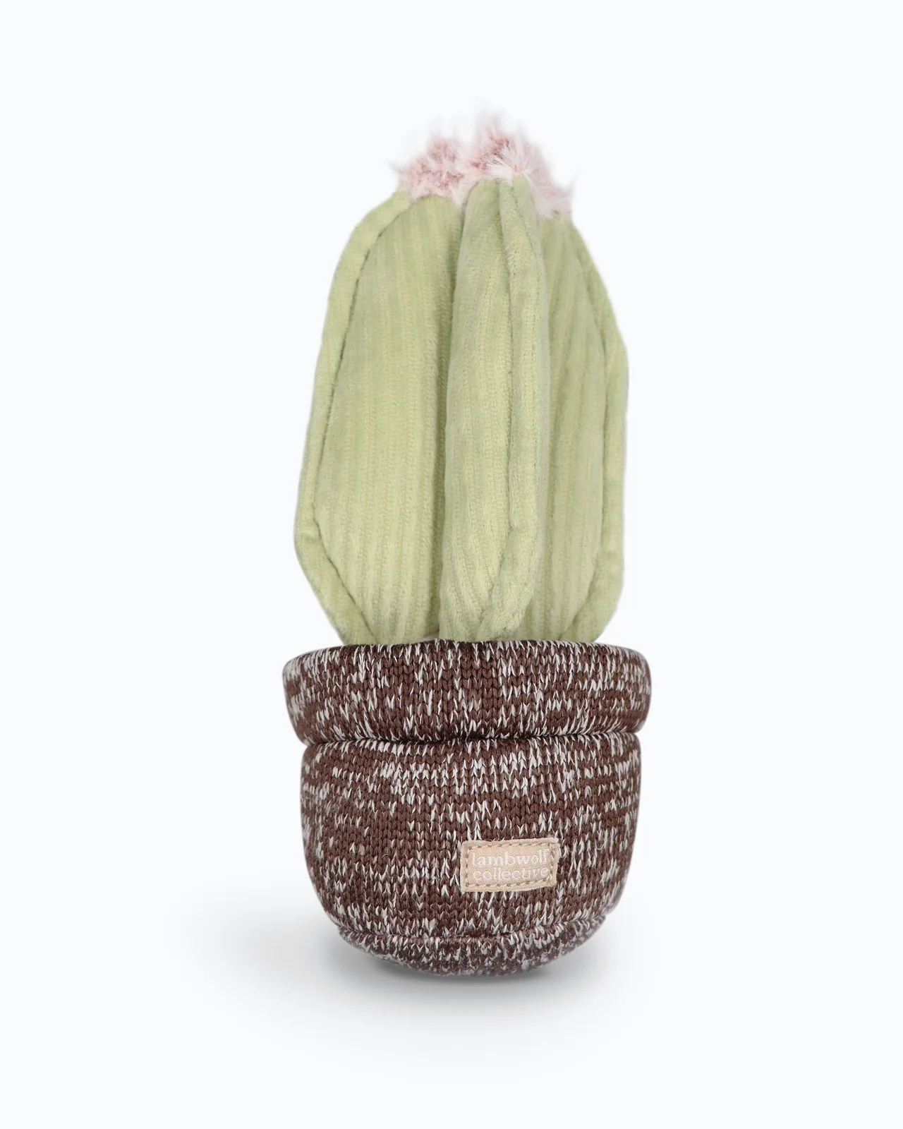 Cactus Interactive Squeaky Snuffle Dog Toy (FINAL SALE) - Image 2