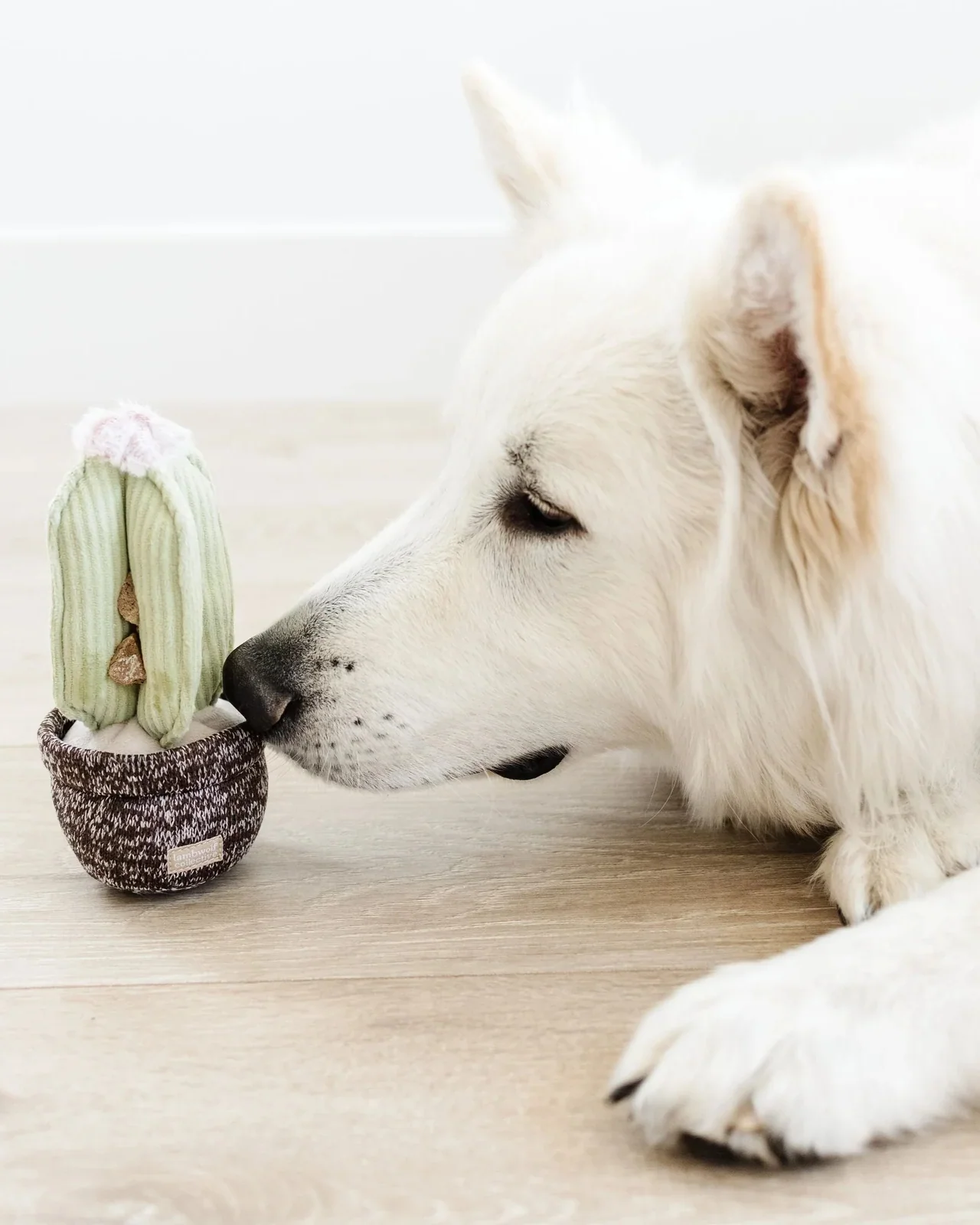 Cactus Interactive Squeaky Snuffle Dog Toy (FINAL SALE) - Image 3