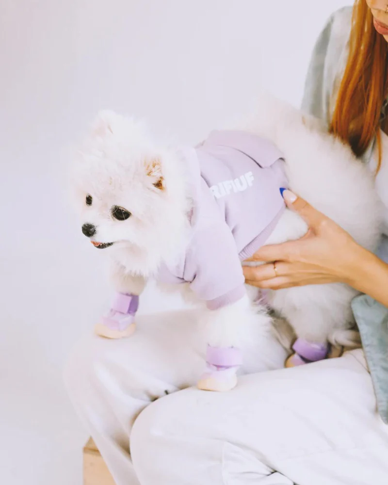 Caesar Dog Sneakers in Taro - Image 3